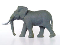 Elefante