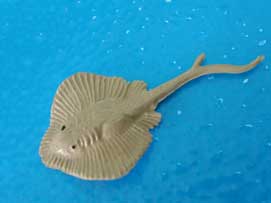 Mantarraya